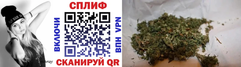 где купить наркоту  Лермонтов  KRAKEN вход  Шишки марихуана план 